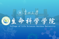 304am永利集团官网 Logo